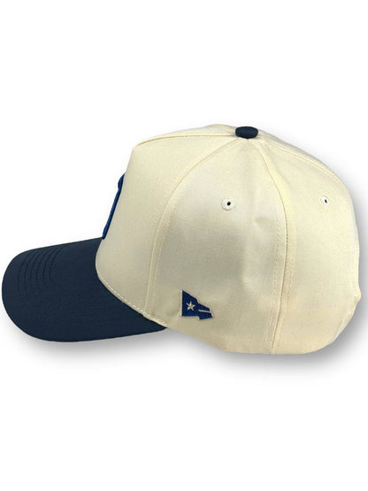 Matrimoney DTX Snapback Hat - Neutral/Navy