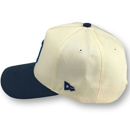 Matrimoney DTX Snapback Hat - Neutral/Navy